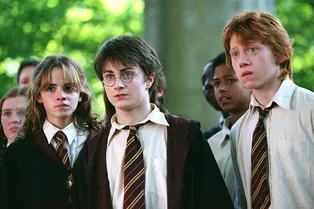 Враги на экране и родственники в жизни: удивительные факты со съемок «Гарри Поттера»
