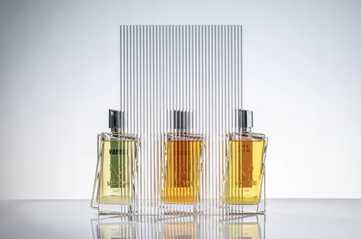 Презентация парфюмерного бренда Morph