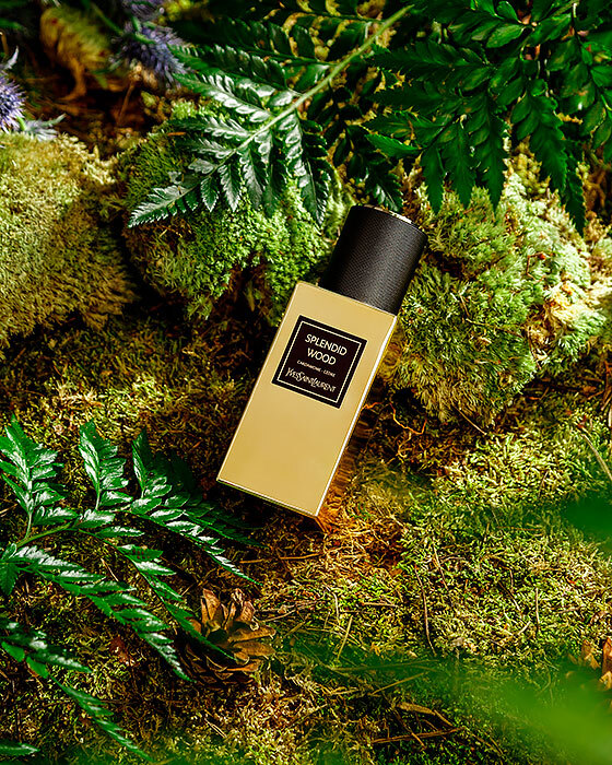 Парфюмированная вода Splendid Wood Le Vestiaire Des Parfums Collection Orientale Yves Saint Laurent