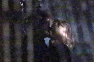 Тим Бертон и Хелена Бонэм-Картер расстаются?