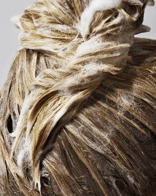 какой шампунь выбрать для жирных волос